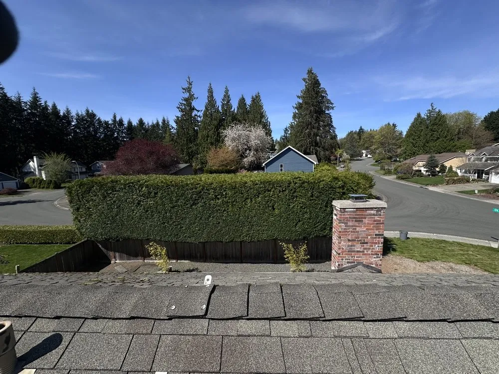 Custom lawn care service for residential properties across Belfair, WA - Dieguez Tree Services & Landscaping
