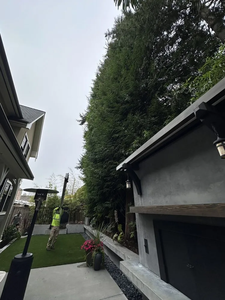 Affordable landscaping services in Belfair, WA - Dieguez Tree Services & Landscaping