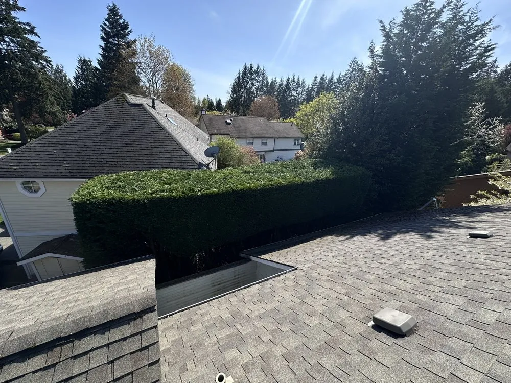 Affordable landscaping services for homes across Belfair, WA - Dieguez Tree Services & Landscaping