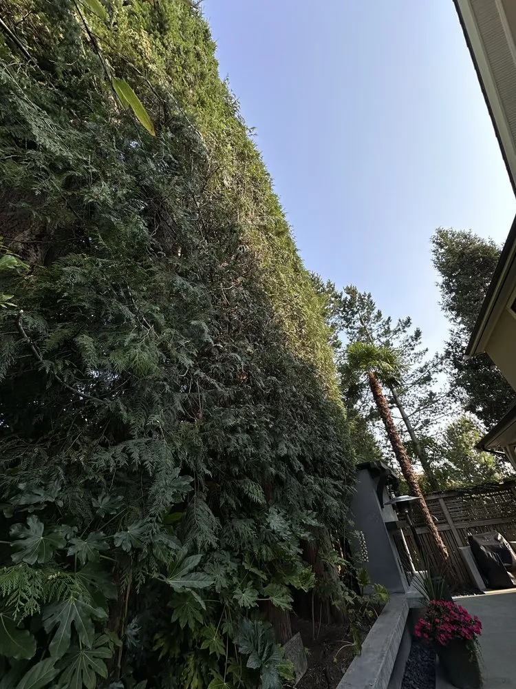 Affordable lawn mowing service for homes in Belfair, WA by Dieguez Tree Services & Landscaping