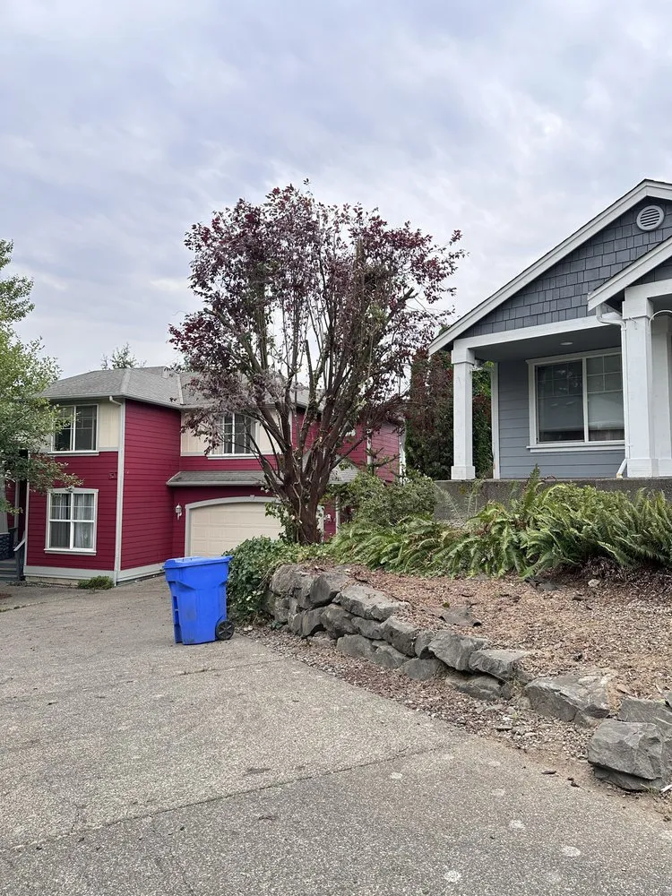 Trusted yard maintenance in Belfair, WA - Dieguez Tree Services & Landscaping