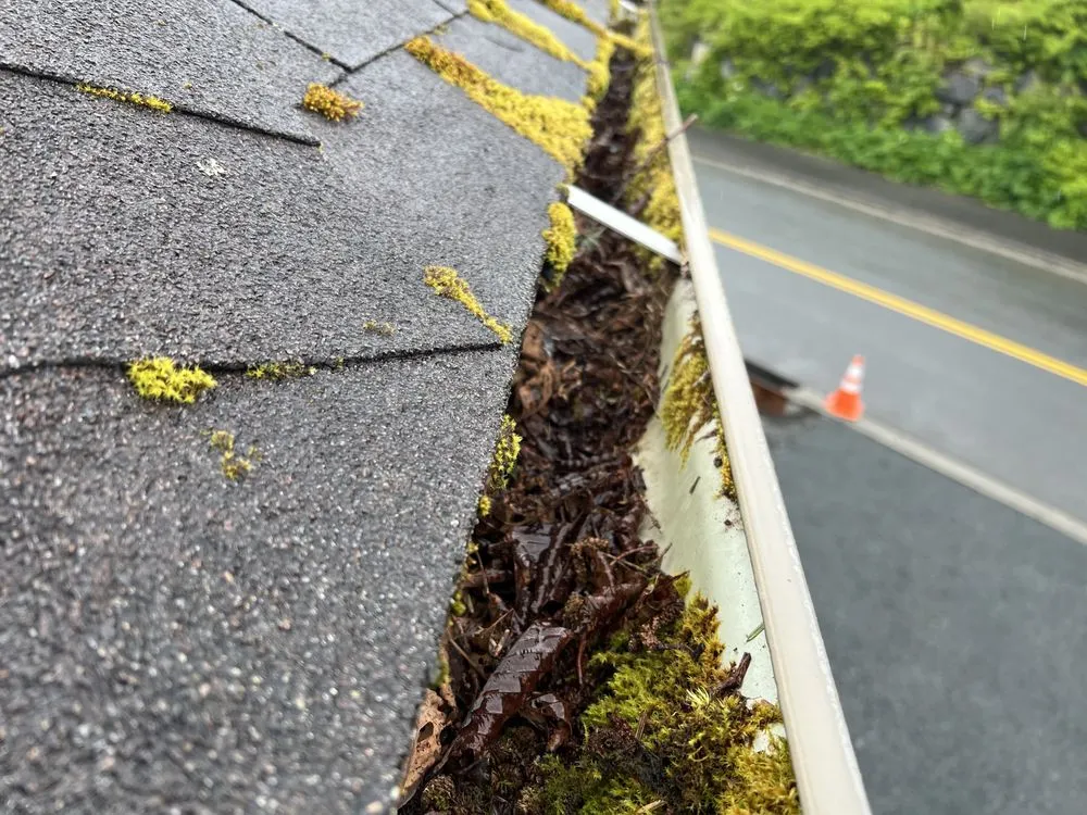 Reliable landscaping services in Sitka, AK by Diehl Landscaping