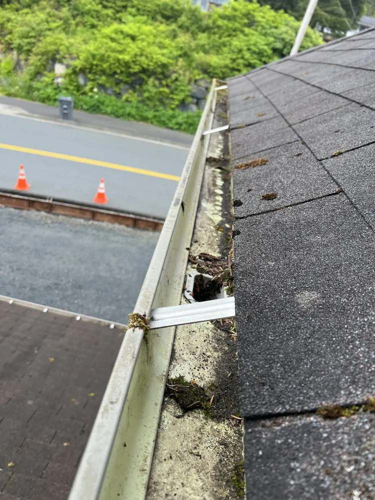 Expert residential landscaping in Sitka, AK by Diehl Landscaping