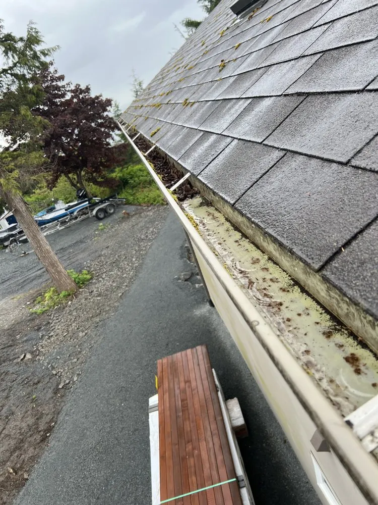 Expert lawn care service experts serving Sitka, AK - Diehl Landscaping