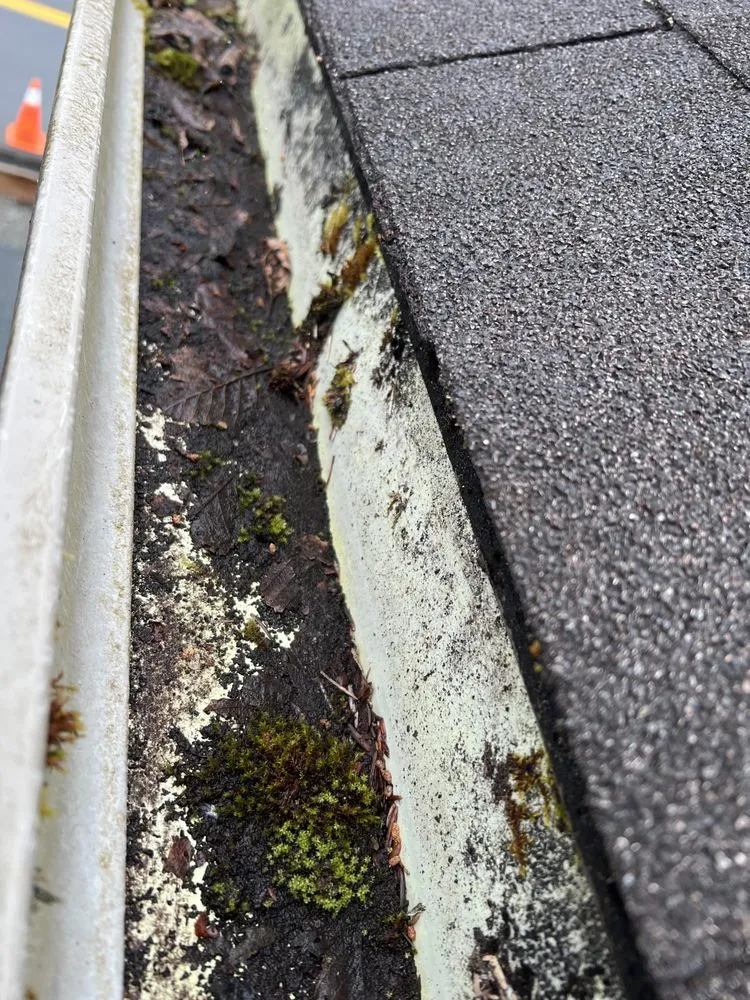 Professional residential landscaping experts serving Sitka, AK - Diehl Landscaping