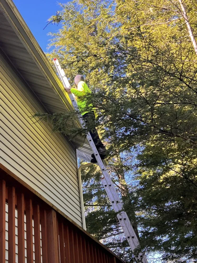 Local residential landscaping for year-round maintenance in Sitka, AK by Diehl Landscaping