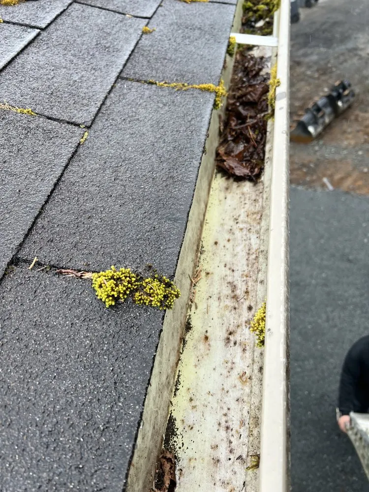 Affordable lawn care service in Sitka, AK by Diehl Landscaping