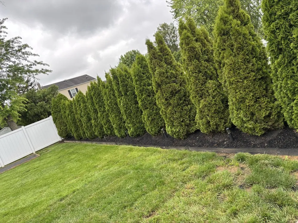 Reliable yard cleanup service experts serving Green Lane, PA - Dierkes Property Maintenance