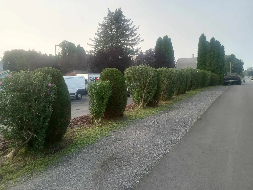 Local lawn mowing service in Altoona, PA by Diesel's Landscaping & Snow Removal