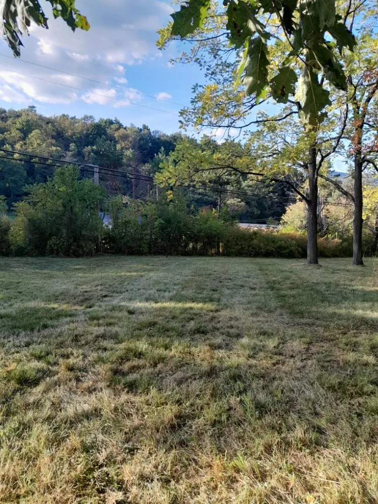 Expert yard maintenance for year-round maintenance in Altoona, PA by Diesel's Landscaping & Snow Removal