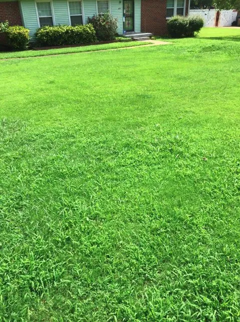 Reliable yard maintenance in Pensacola, FL by Diesel's Lawn Care