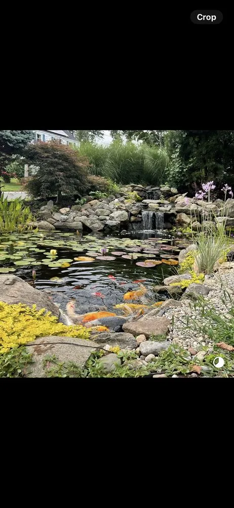 Custom lawn mowing service in Nantucket, MA by Dietter's Water Gardens