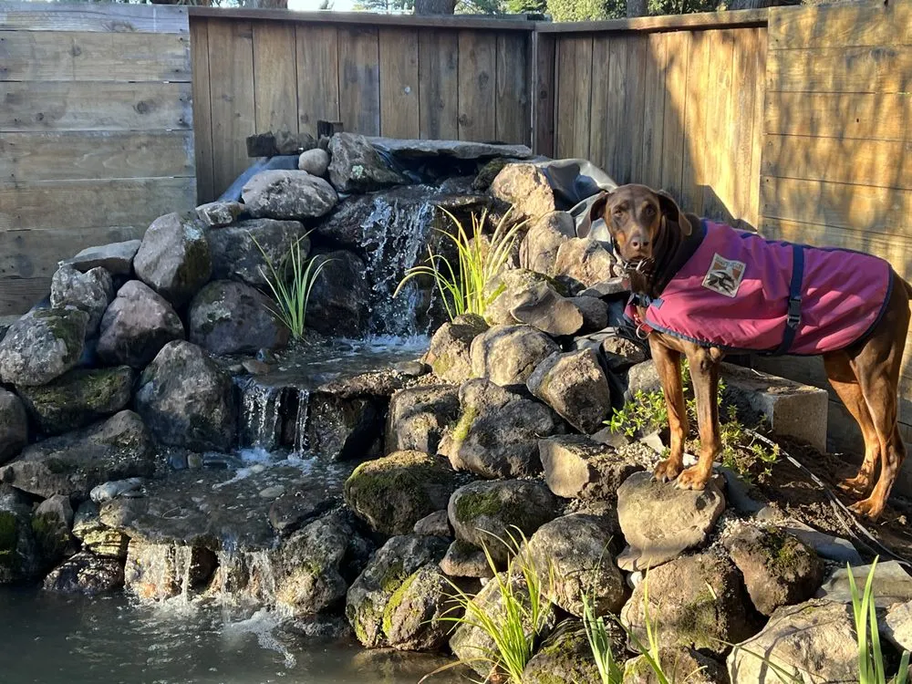 Local lawn mowing service in Nantucket, MA - Dietter's Water Gardens