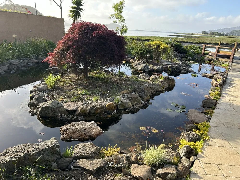 Local residential landscaping experts serving Nantucket, MA - Dietter's Water Gardens