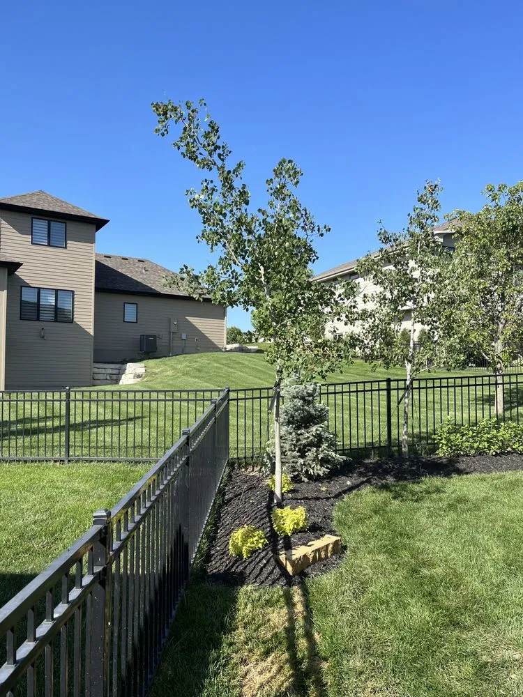 Professional yard maintenance for beautiful yards across Papillion, NE - Dietz Lawn & Landscape