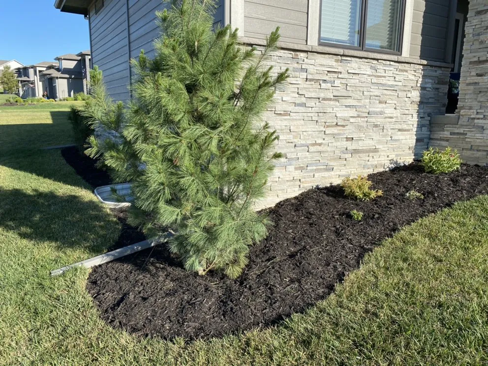 Reliable lawn mowing service in Papillion, NE by Dietz Lawn & Landscape