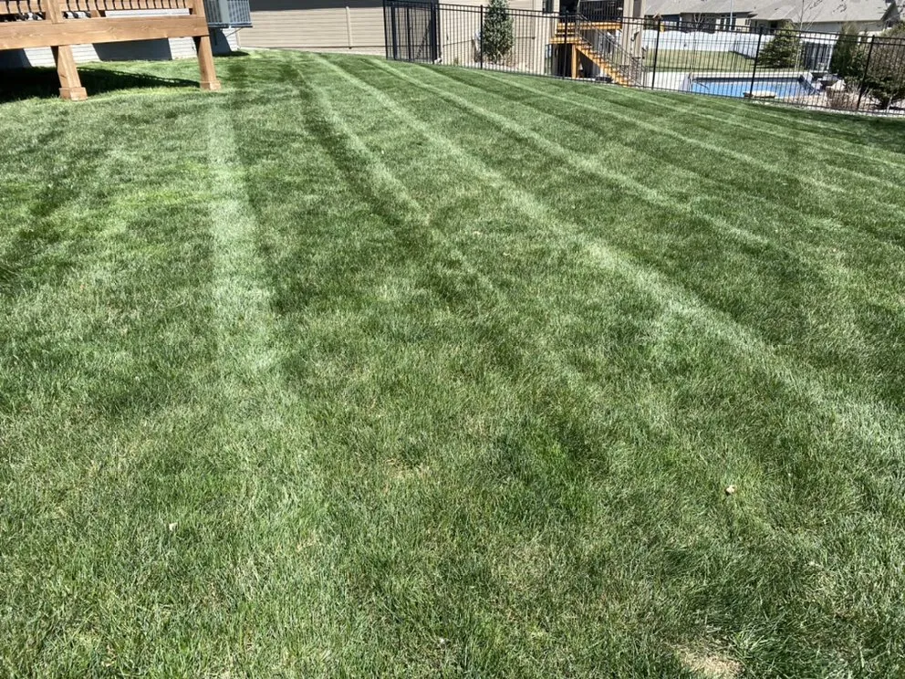 Top-rated lawn mowing service with custom design across Papillion, NE - Dietz Lawn & Landscape