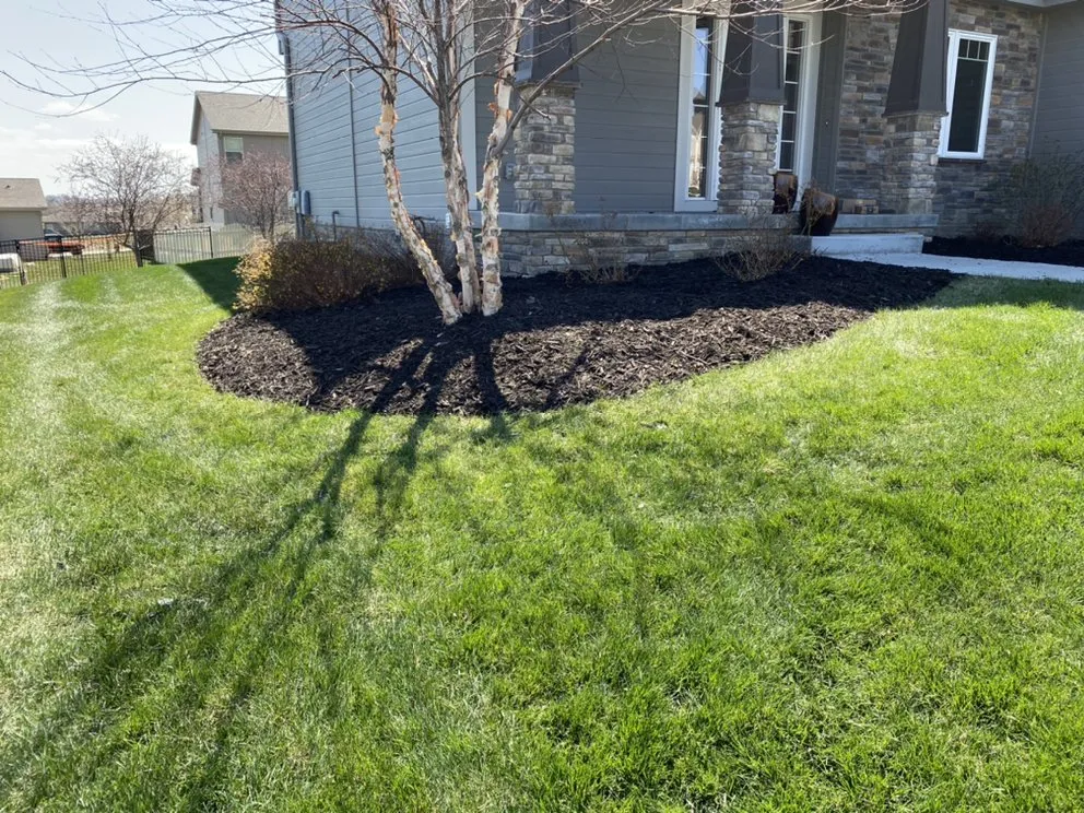 Top-rated residential landscaping for year-round maintenance across Papillion, NE - Dietz Lawn & Landscape