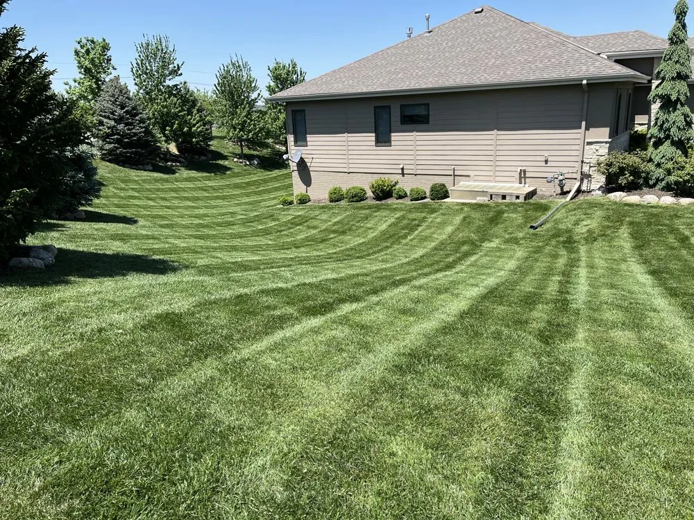 Trusted yard cleanup service in Papillion, NE by Dietz Lawn & Landscape
