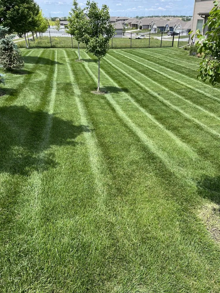 Top-rated lawn mowing service for beautiful yards in Papillion, NE by Dietz Lawn & Landscape