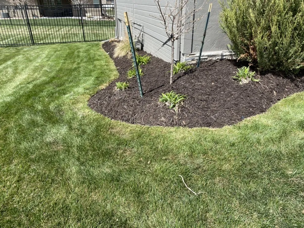 Professional landscaping services for year-round maintenance in Papillion, NE by Dietz Lawn & Landscape