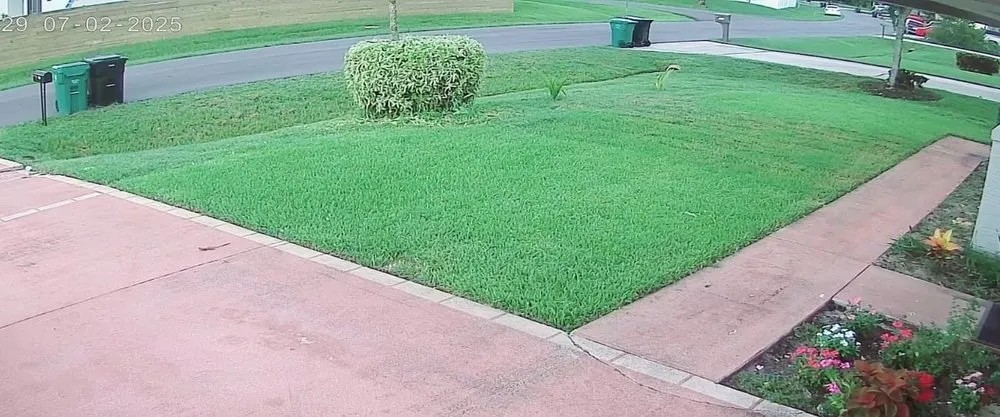 Affordable landscape design experts serving Port St. Lucie, FL - Dieunelson