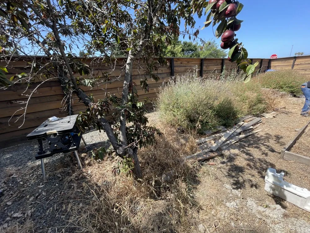Custom yard cleanup service in San Jose, CA by Difference Mowing