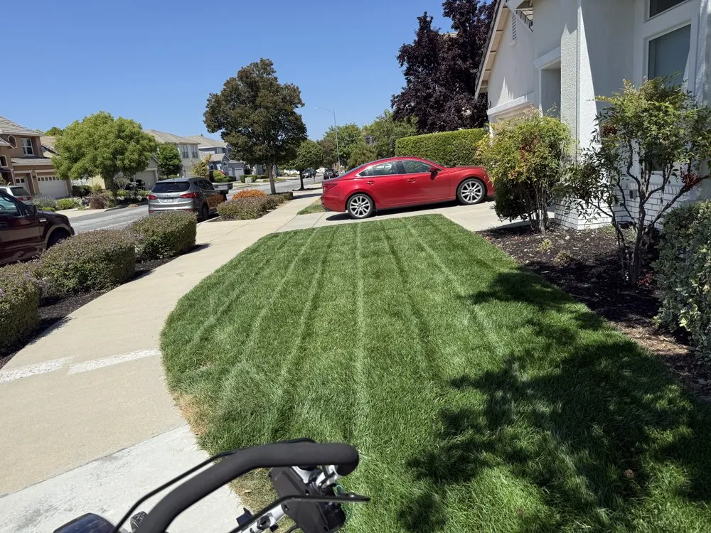 Custom lawn mowing service in San Jose, CA - Difference Mowing