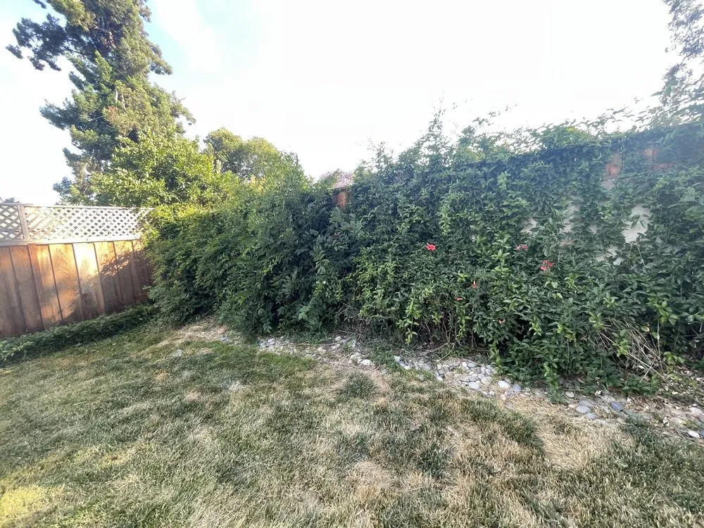 Expert lawn mowing service near you in San Jose, CA by Difference Mowing