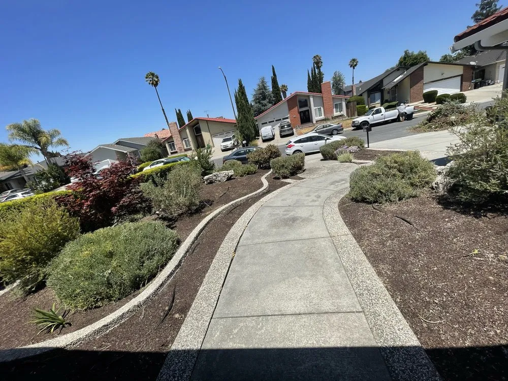 Reliable landscaping services in San Jose, CA - Difference Mowing