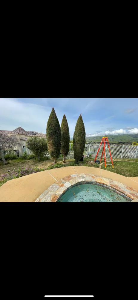 Local residential landscaping for residential properties across San Jose, CA - Difference Mowing