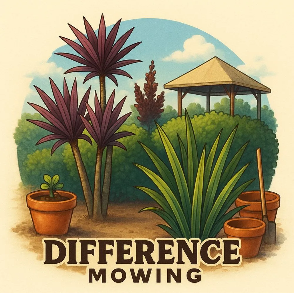 Top-rated yard maintenance for homes in San Jose, CA by Difference Mowing