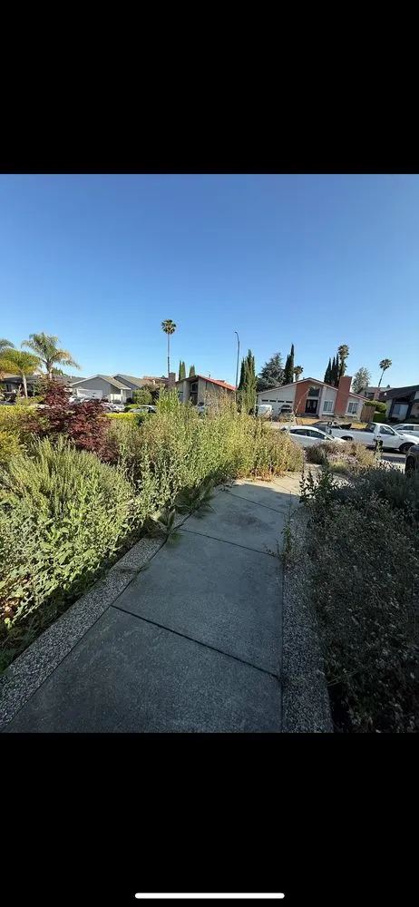 Expert residential landscaping for residential properties across San Jose, CA - Difference Mowing