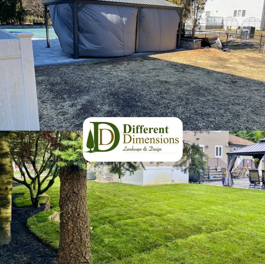 Top-rated landscape installation for beautiful yards across Wayne, NJ - Different Dimensions