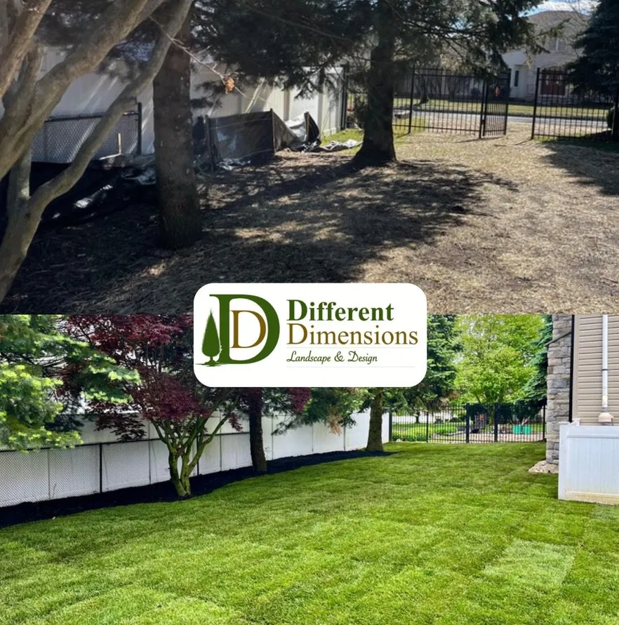 Professional landscape design for outdoor upgrades across Wayne, NJ - Different Dimensions