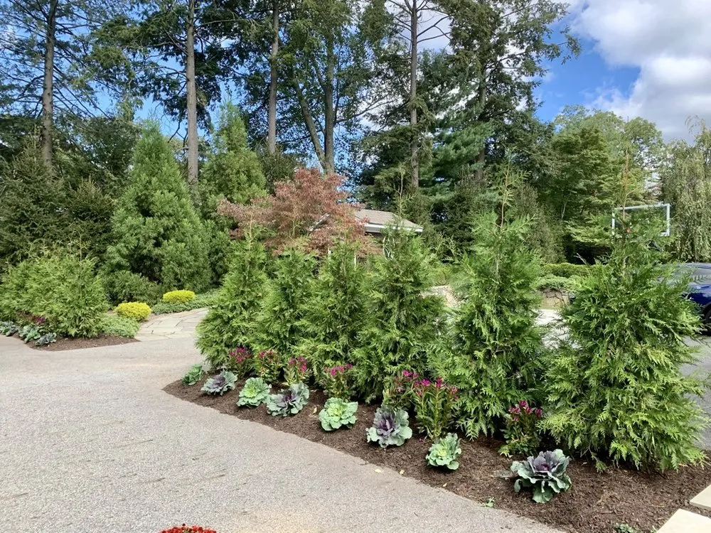 Reliable lawn mowing service for outdoor upgrades in Wayne, NJ by Different Dimensions