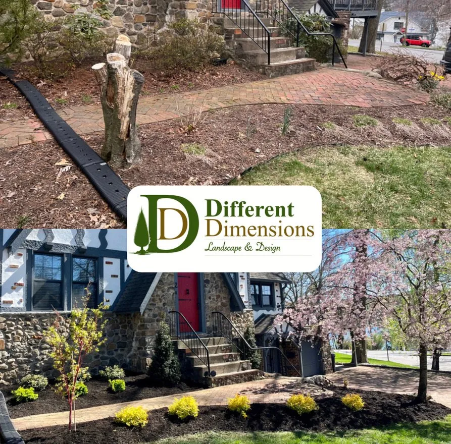 Top-rated lawn mowing service in Wayne, NJ - Different Dimensions