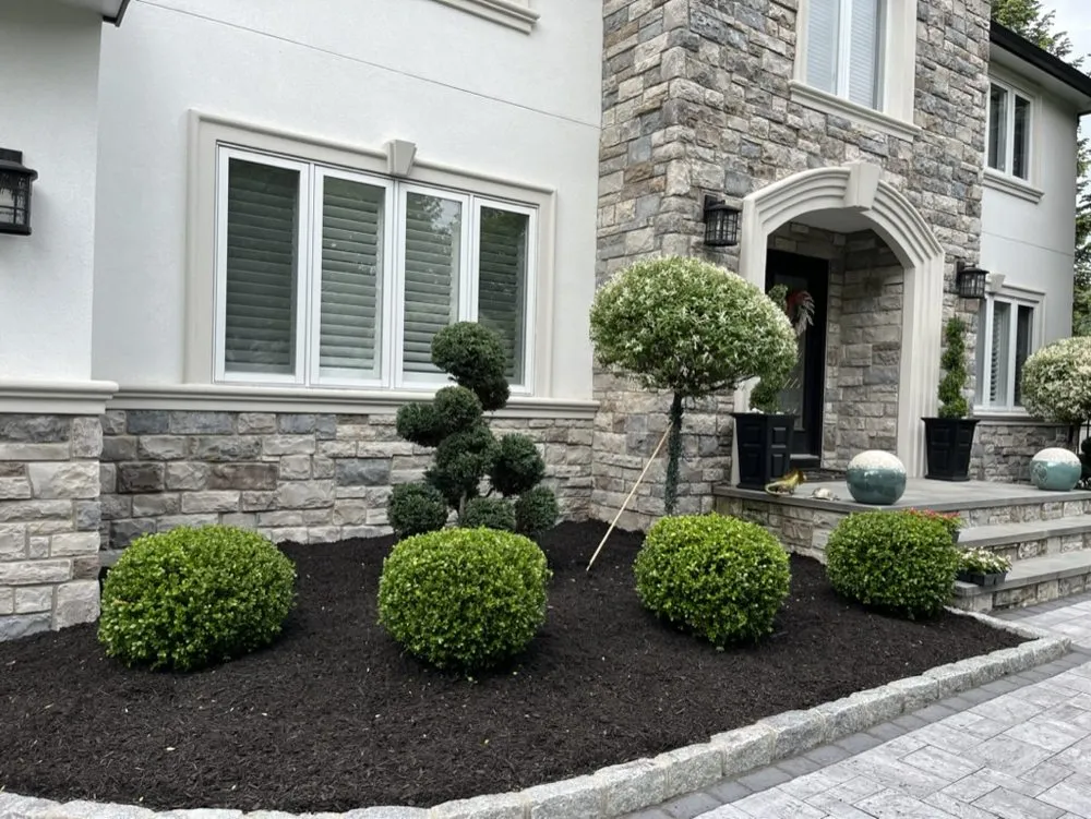 Affordable yard cleanup service for outdoor upgrades across Wayne, NJ - Different Dimensions