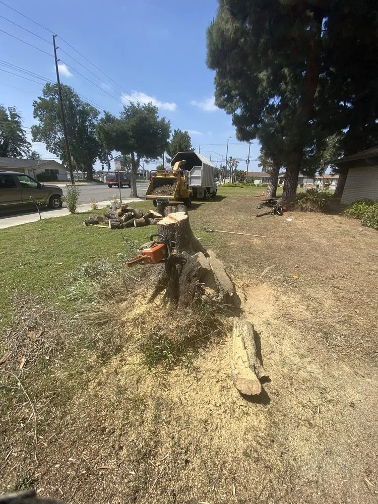 Professional landscape installation for beautiful yards across Buena Park, CA - Different Land&tree Works
