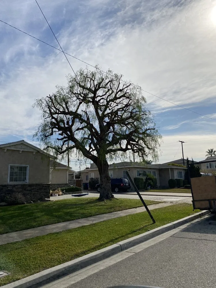 Top-rated garden landscaping for outdoor upgrades in Buena Park, CA by Different Land&tree Works