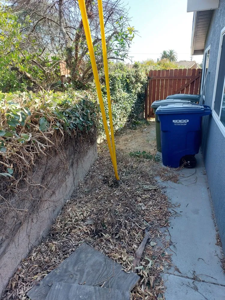 Trusted lawn care service experts serving Buena Park, CA - Different Land&tree Works