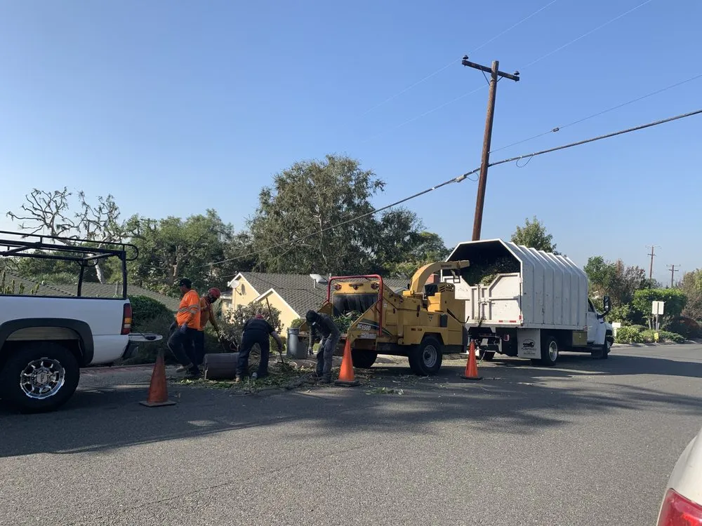 Reliable yard cleanup service in Buena Park, CA - Different Land&tree Works