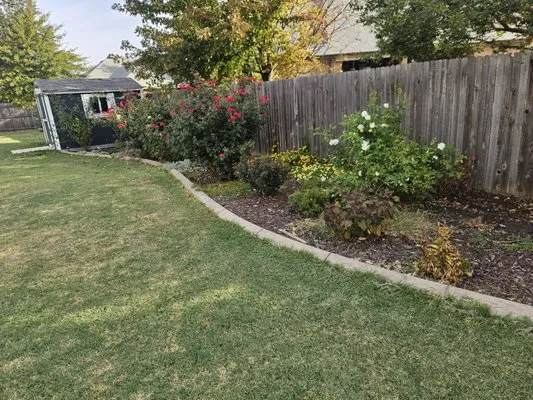 Different Perspective Lawncare Logo