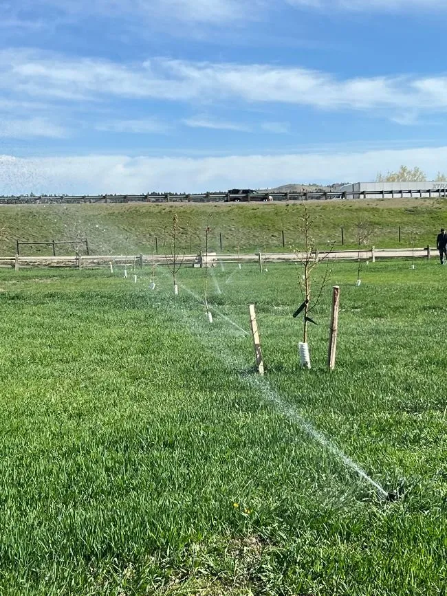 Custom outdoor landscaping for homes across Big Timber, MT - Diffley's Irrigation