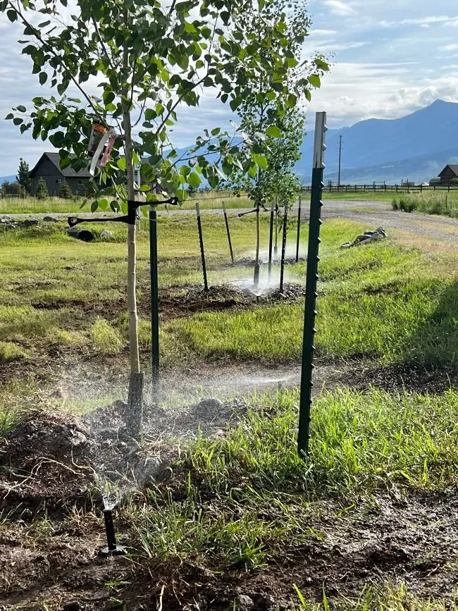 Custom lawn mowing service in Big Timber, MT - Diffley's Irrigation