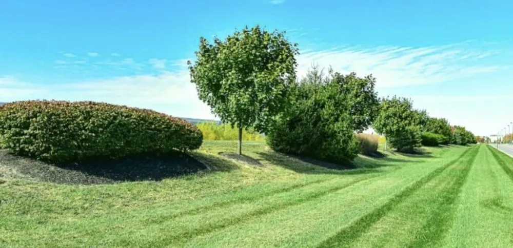 Trusted landscape design for outdoor upgrades in West Bradford Township, PA by Difran And Sons Landscaping