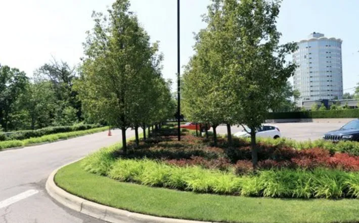 Reliable yard maintenance for outdoor upgrades in West Bradford Township, PA by Difran And Sons Landscaping