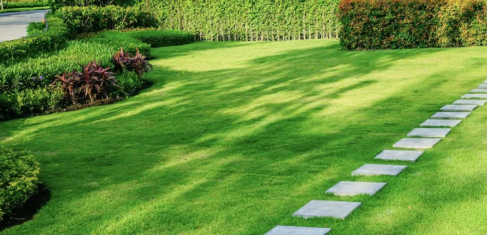 Custom lawn mowing service in West Bradford Township, PA - Difran And Sons Landscaping