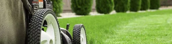 Difran And Sons Landscaping