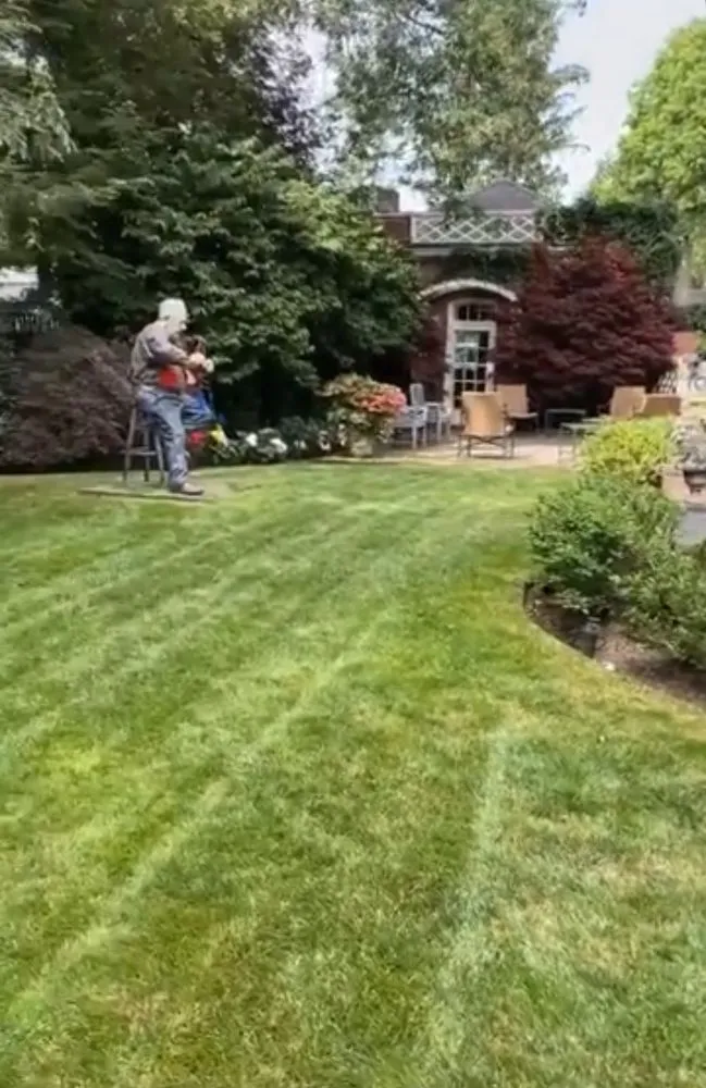 Custom yard cleanup service in Cranston, RI - DiFusco’s lawn solutions